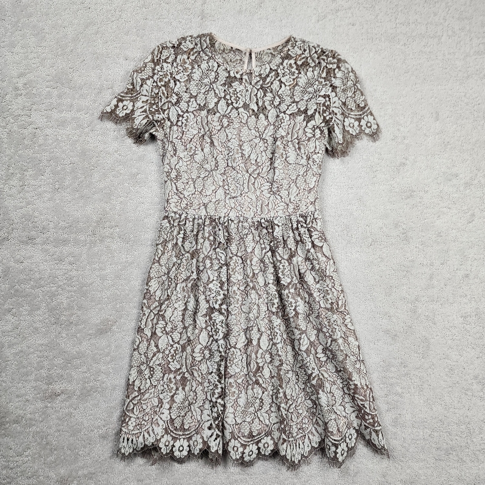 Eliza J Lace Mini Dress in Cream and Brown